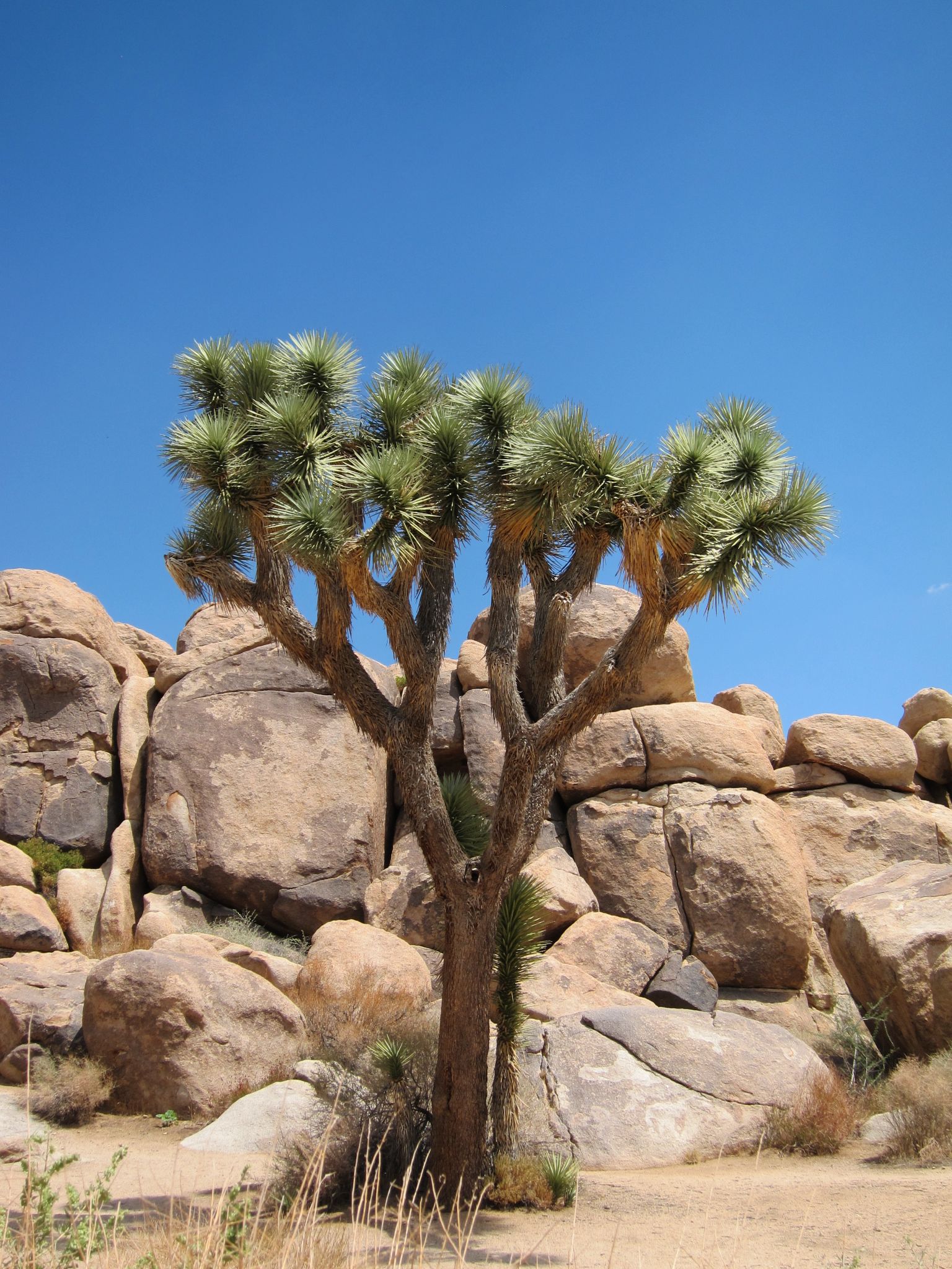 Photo 4 of 215 from the album Highlights Road Trip USA 2012.