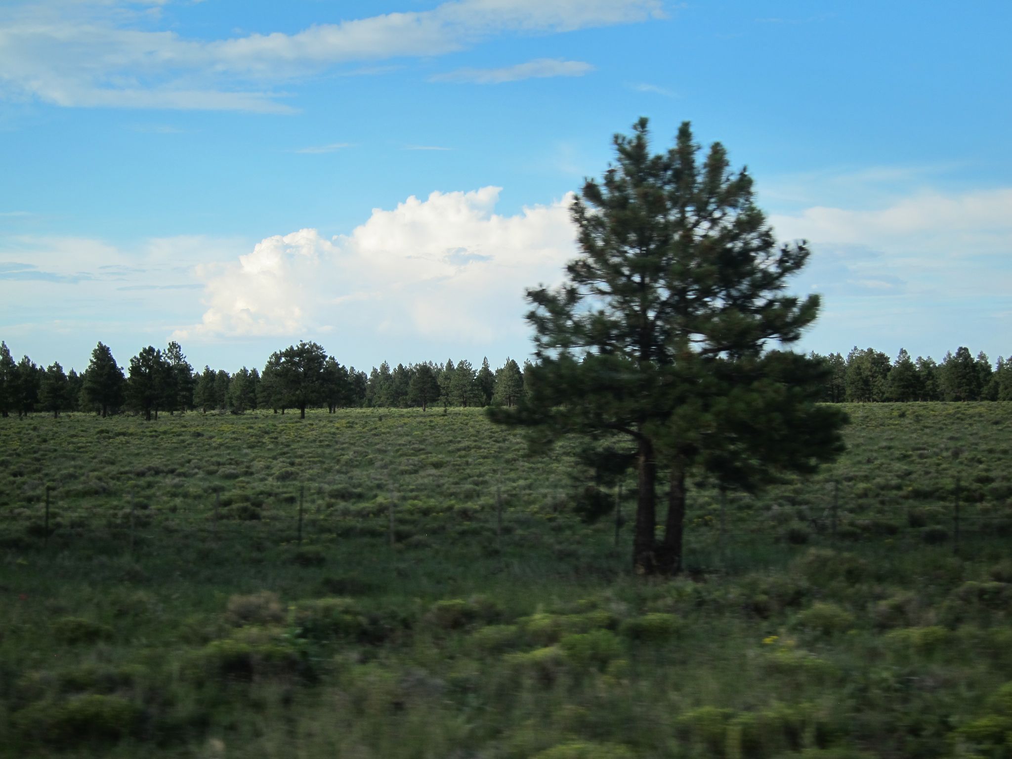 Photo 41 of 215 from the album Highlights Road Trip USA 2012.