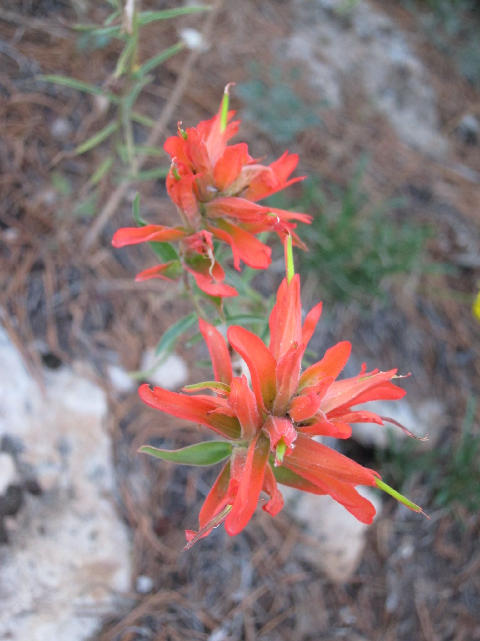 Photo 51 of 215 from the album Highlights Road Trip USA 2012.