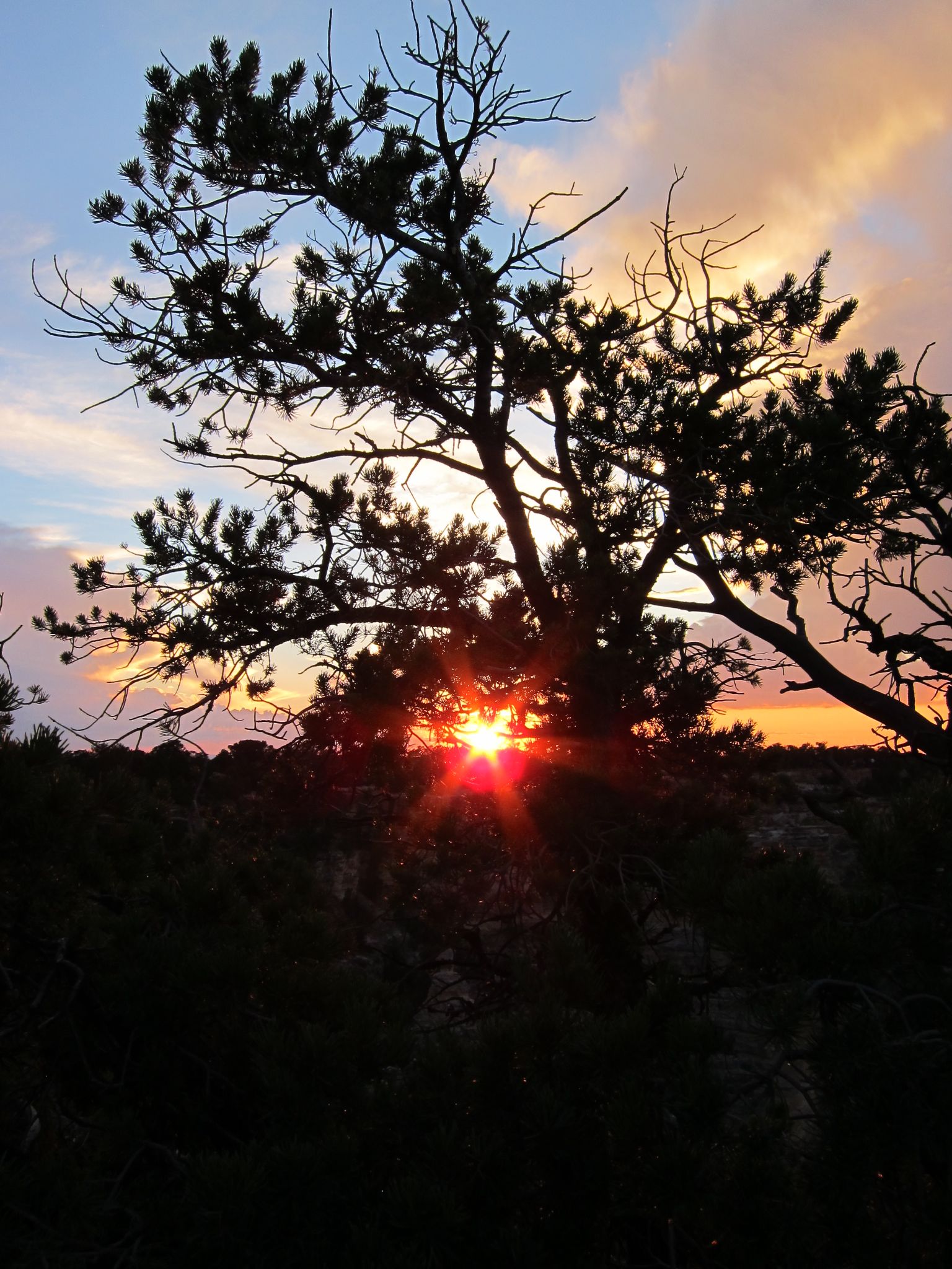 Photo 57 of 215 from the album Highlights Road Trip USA 2012.