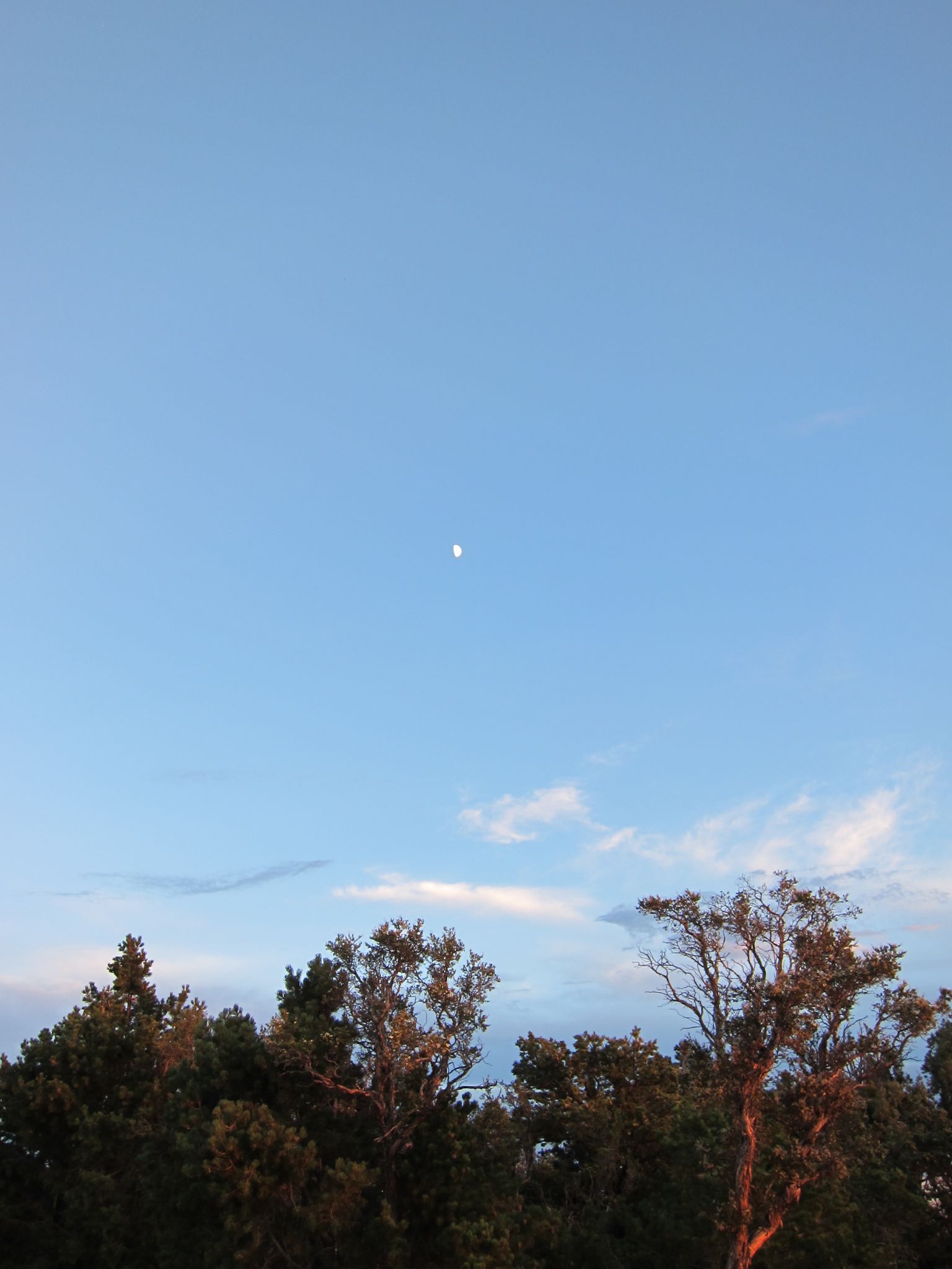 Photo 58 of 215 from the album Highlights Road Trip USA 2012.