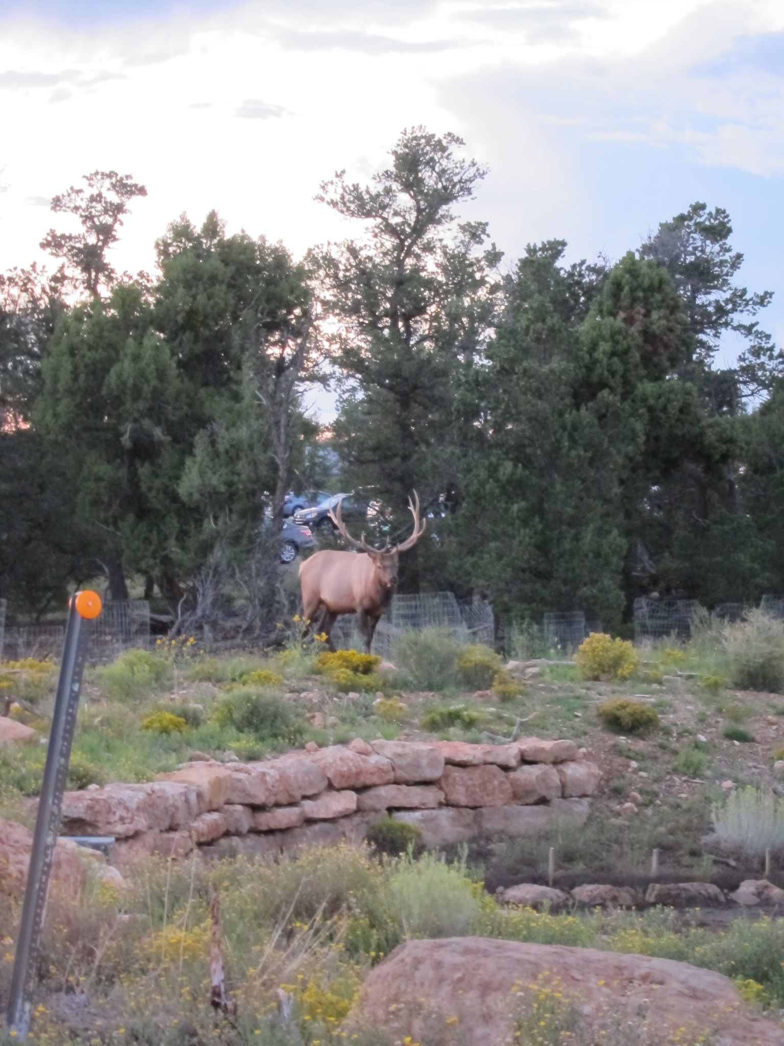 Photo 64 of 215 from the album Highlights Road Trip USA 2012.