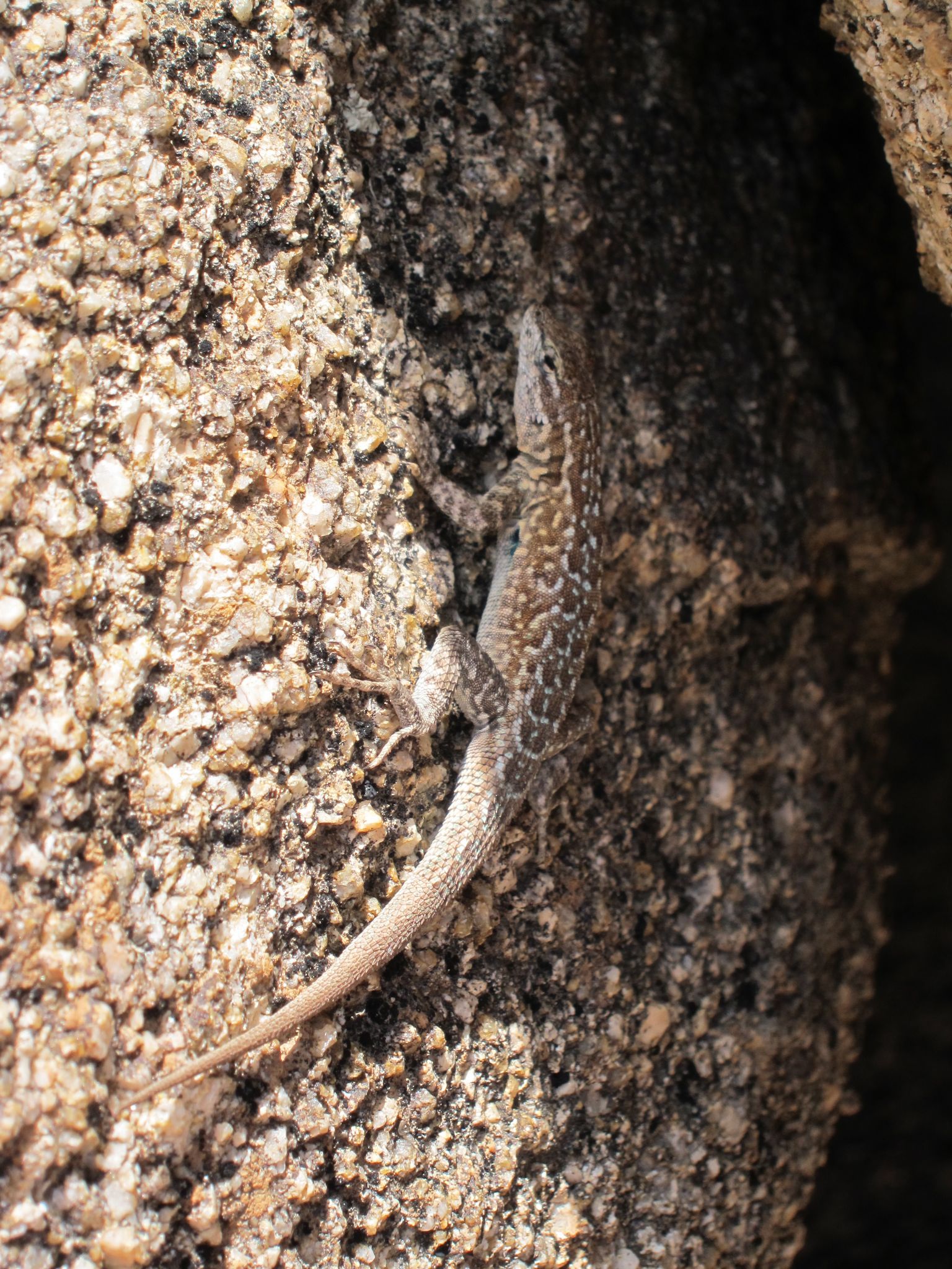 Photo 7 of 215 from the album Highlights Road Trip USA 2012.