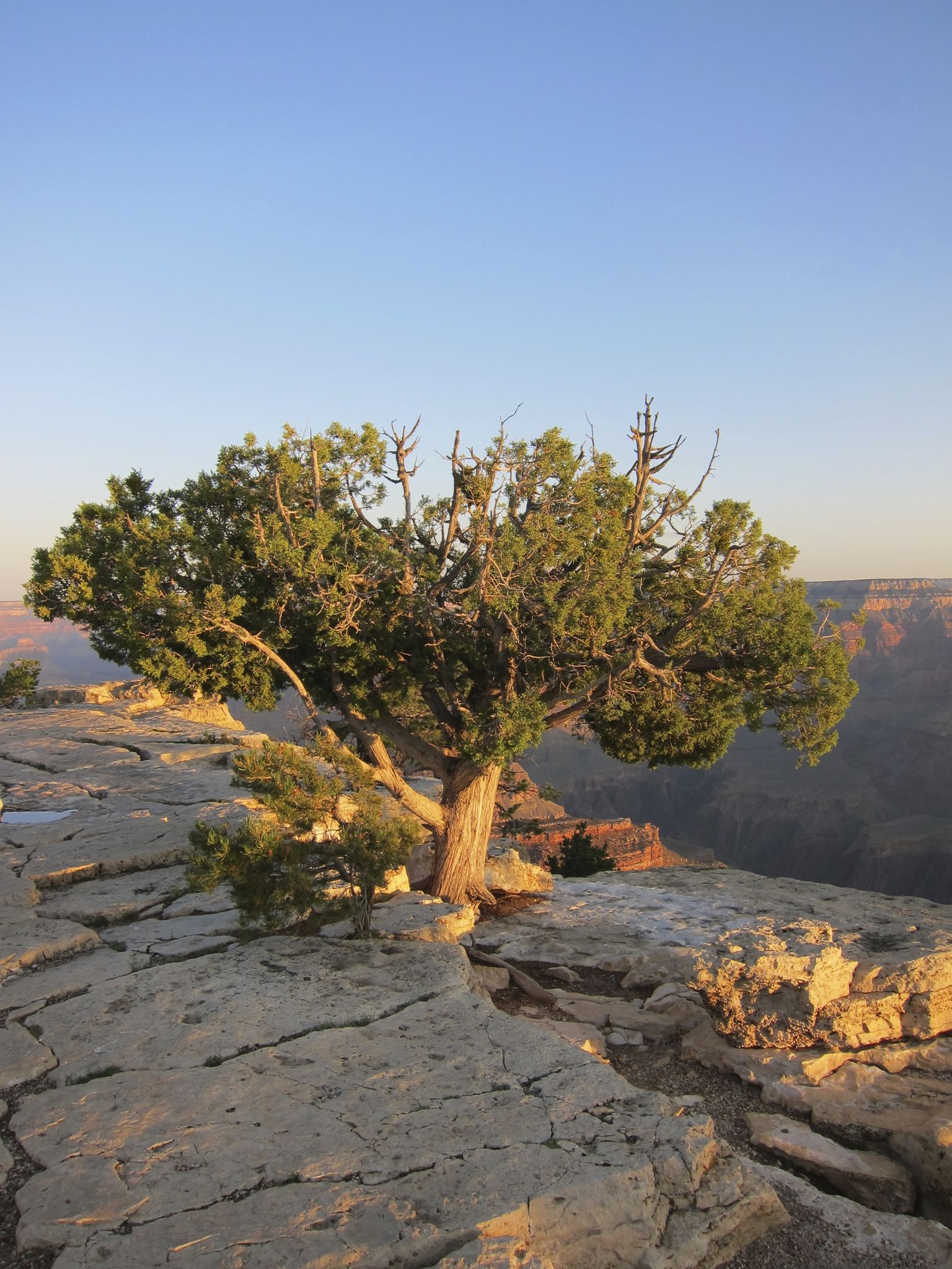 Photo 71 of 215 from the album Highlights Road Trip USA 2012.