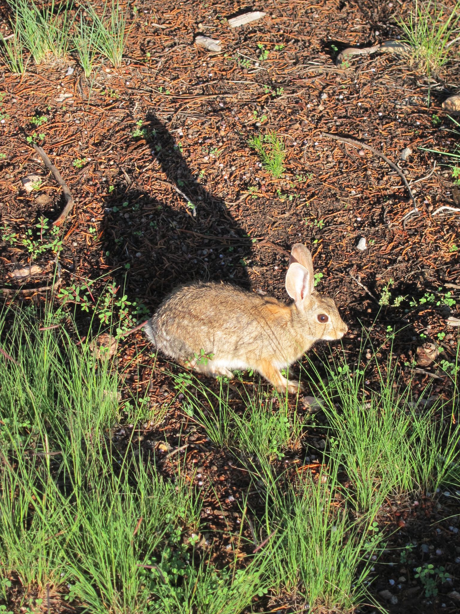 Photo 82 of 215 from the album Highlights Road Trip USA 2012.