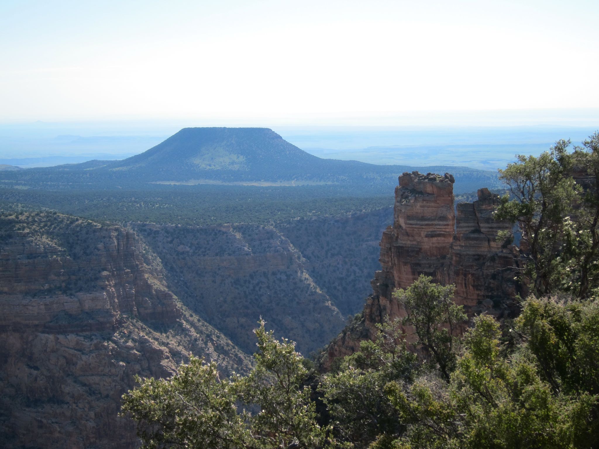 Photo 83 of 215 from the album Highlights Road Trip USA 2012.