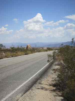 Thumbnail 11 of 215.