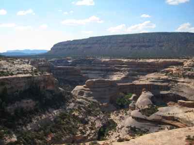 Thumbnail 118 of 215.