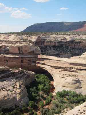 Thumbnail 119 of 215.