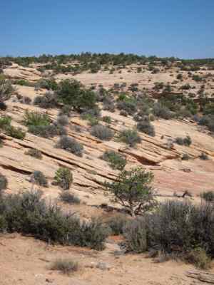 Thumbnail 120 of 215.