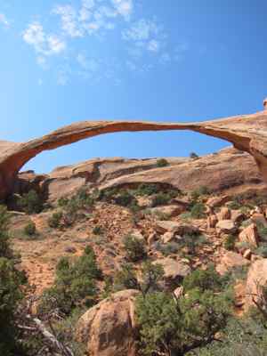 Thumbnail 127 of 215.