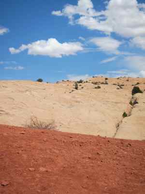 Thumbnail 138 of 215.