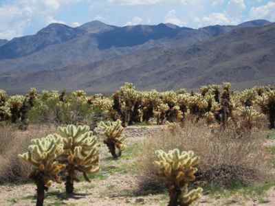 Thumbnail 14 of 215.