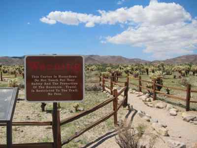 Thumbnail 15 of 215.