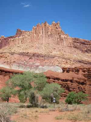 Thumbnail 150 of 215.