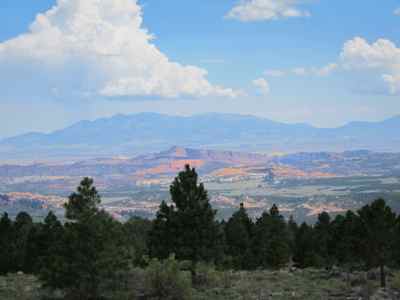 Thumbnail 151 of 215.