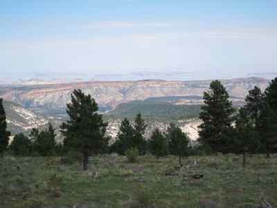 Thumbnail 153 of 215.