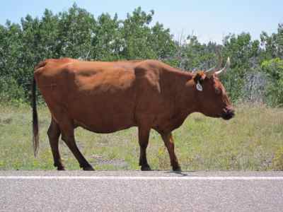 Thumbnail 155 of 215.