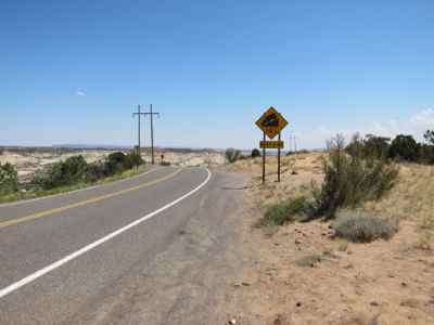 Thumbnail 156 of 215.