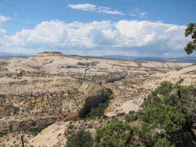 Thumbnail 157 of 215.