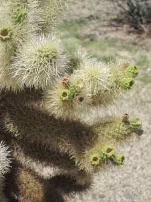 Thumbnail 16 of 215.