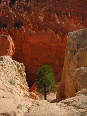 Thumbnail 160 of 215.