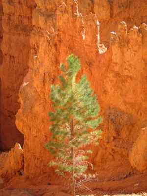 Thumbnail 161 of 215.