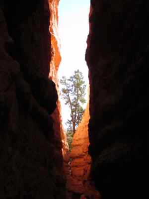 Thumbnail 164 of 215.