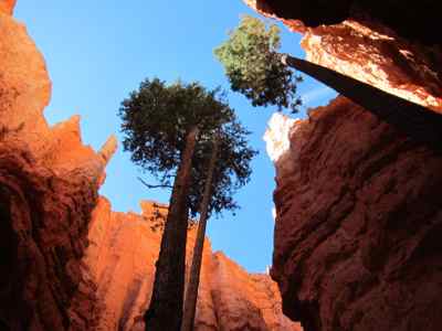 Thumbnail 165 of 215.