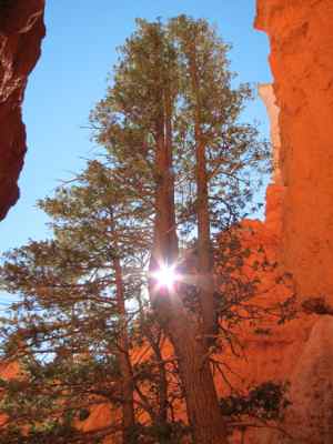 Thumbnail 166 of 215.