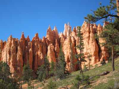 Thumbnail 169 of 215.