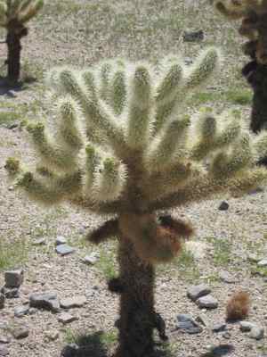 Thumbnail 17 of 215.