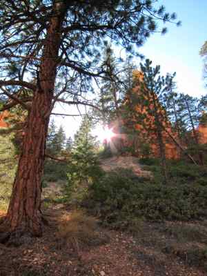 Thumbnail 171 of 215.