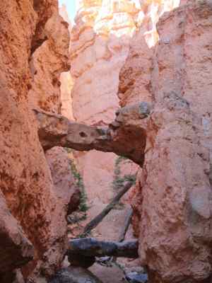 Thumbnail 172 of 215.