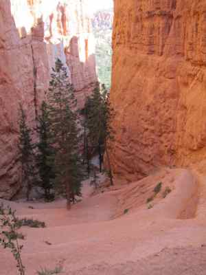 Thumbnail 177 of 215.