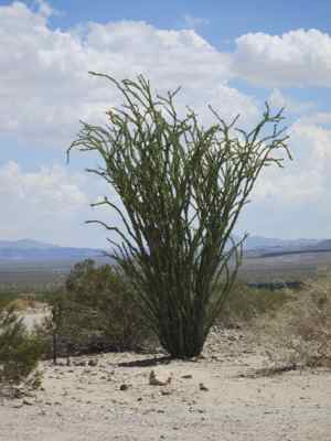 Thumbnail 18 of 215.