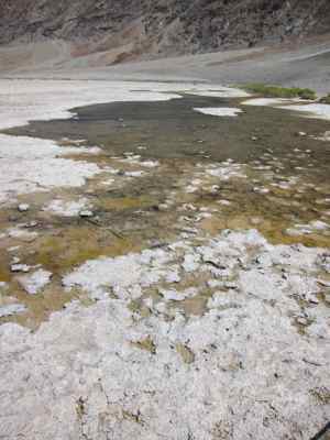 Thumbnail 186 of 215.