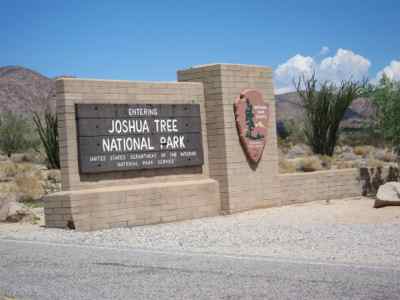 Thumbnail 19 of 215.