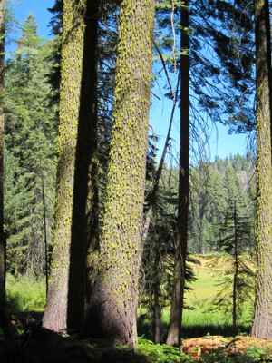 Thumbnail 192 of 215.