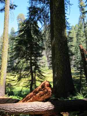 Thumbnail 193 of 215.