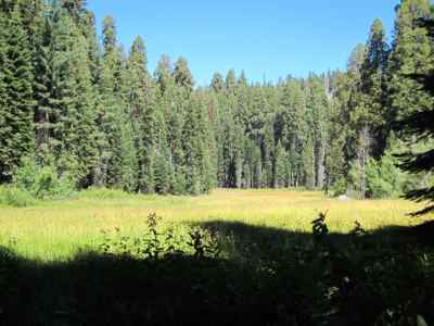 Thumbnail 194 of 215.