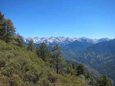 Thumbnail 195 of 215.