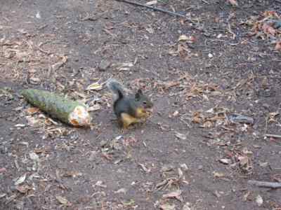 Thumbnail 197 of 215.