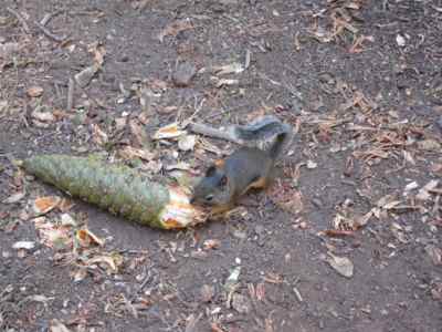 Thumbnail 198 of 215.