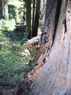 Thumbnail 199 of 215.