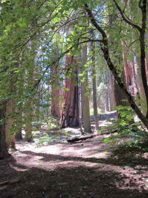 Thumbnail 201 of 215.