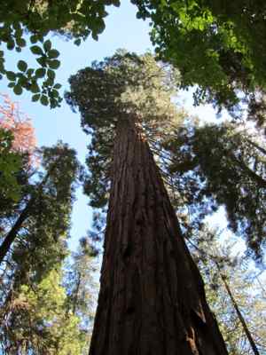 Thumbnail 202 of 215.