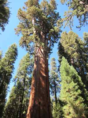 Thumbnail 204 of 215.