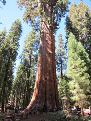 Thumbnail 205 of 215.