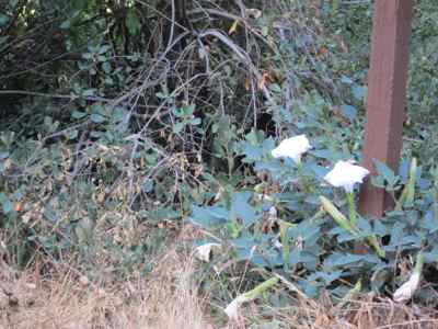 Thumbnail 213 of 215.